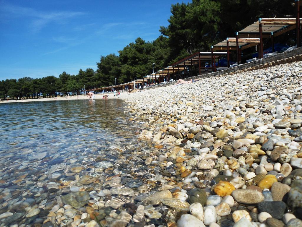 Guest House Gloria Novigrad Istria エクステリア 写真